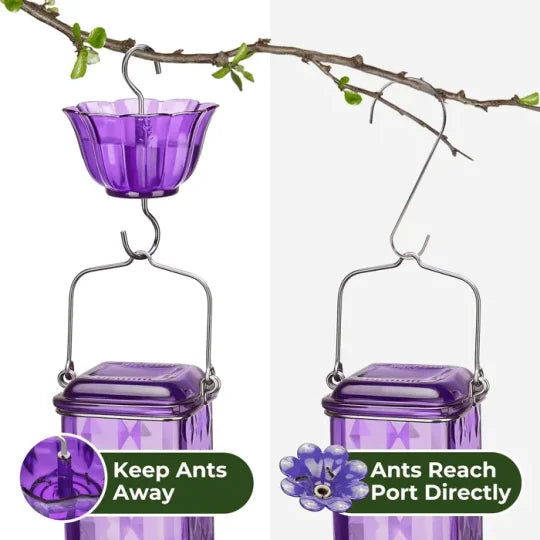 Glass Hummingbird Feeder 24 oz - Leak Proof Outdoor Feeder