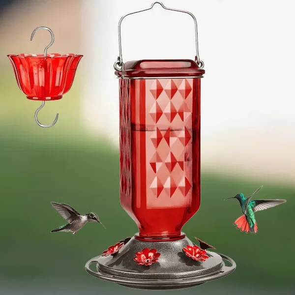 Glass Hummingbird Feeder 24 oz - Leak Proof Outdoor Feeder
