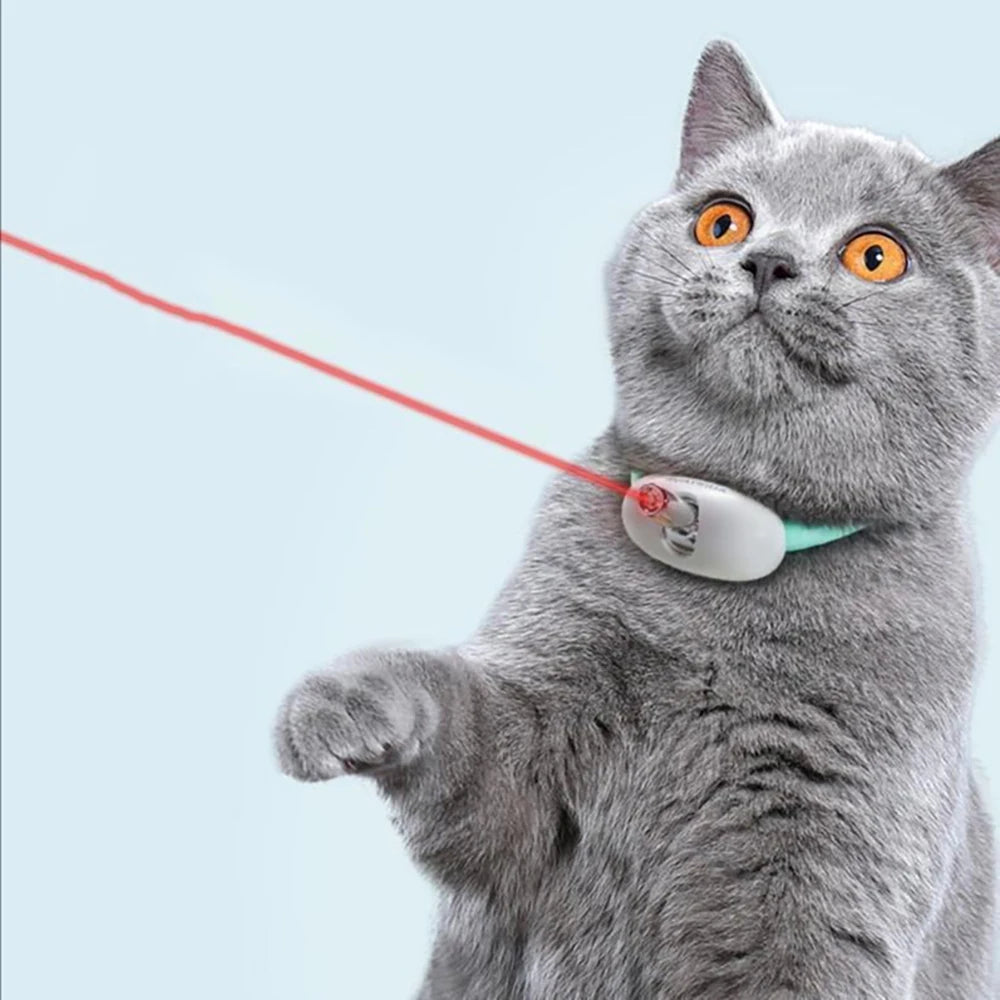 Laser Cat Collar - USB Rechargeable Interactive Cat Toy