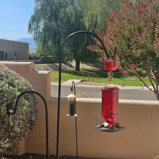 Glass Hummingbird Feeder 24 oz - Leak Proof Outdoor Feeder