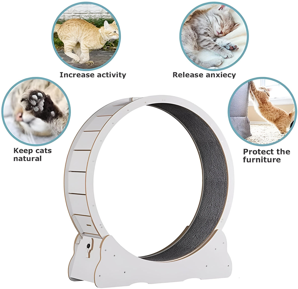 Cat Exercise Wheel - Indoor Cat Treadmill Running Wheel