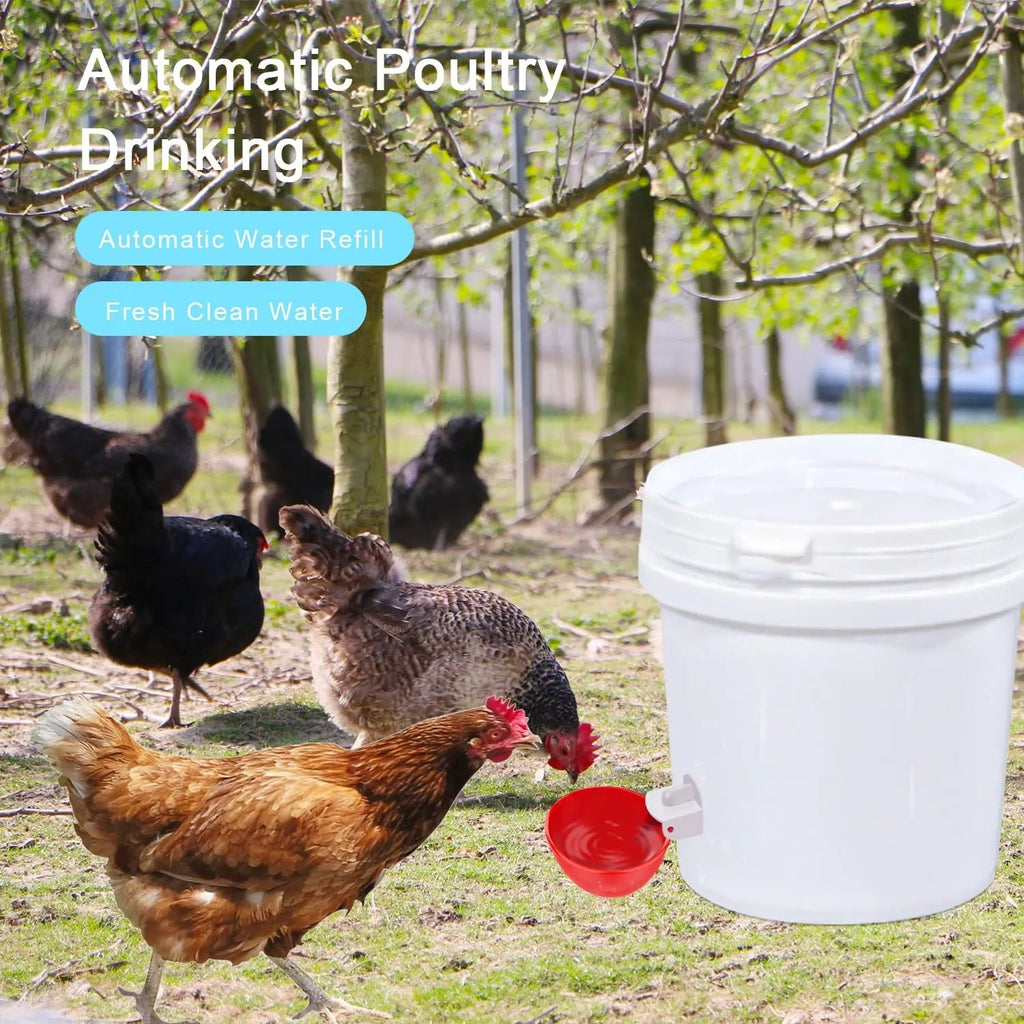 Chicken Waterer Cups 10 Pack - Poultry Drinker for Coop