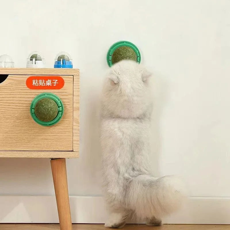 Catnip Balls 4 Pack - Cat Toy Balls for Indoor Cats
