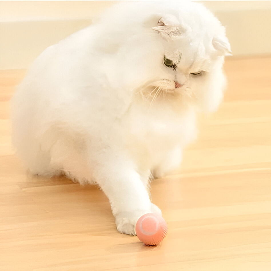Interactive Hunting Cat Toy - 2 in 1 Simulated Prey Toy