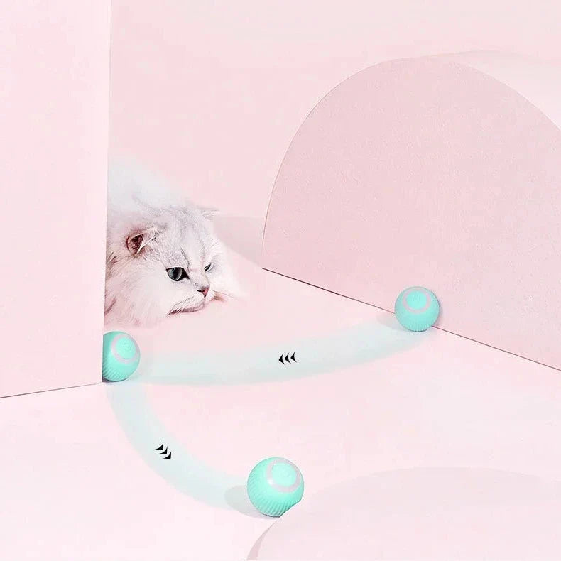 Interactive Hunting Cat Toy - 2 in 1 Simulated Prey Toy