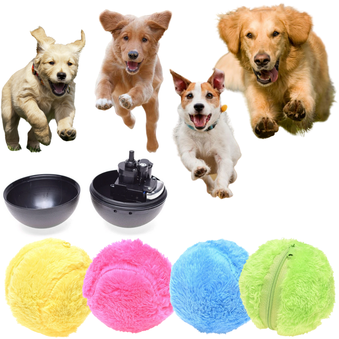 Active Rolling Ball Cat Toy - Moving Pet Ball 4 Colors