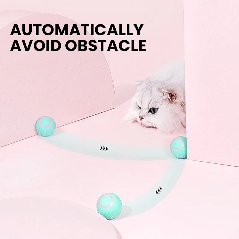 Interactive Hunting Cat Toy - 2 in 1 Simulated Prey Toy