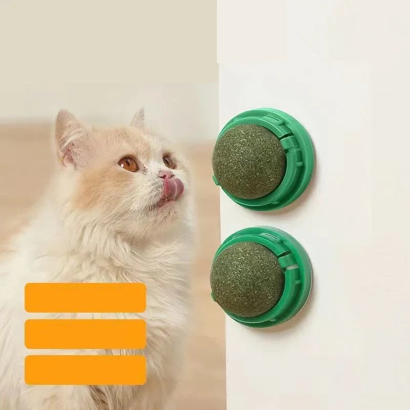 Catnip Balls 4 Pack - Cat Toy Balls for Indoor Cats