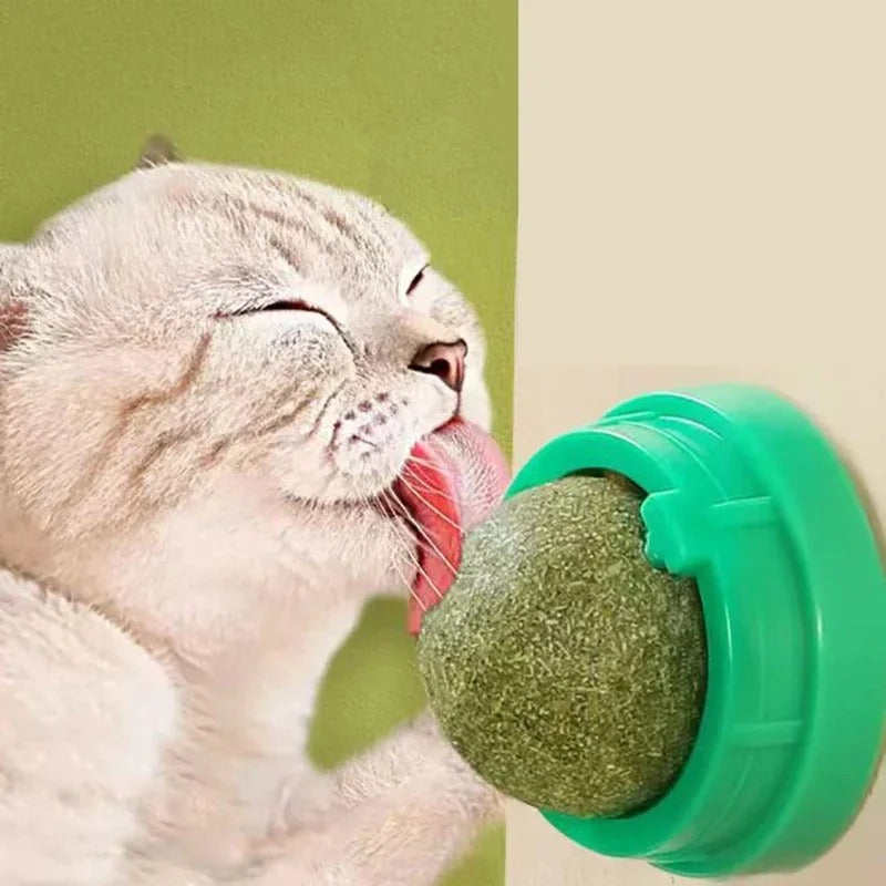 Catnip Balls 4 Pack - Cat Toy Balls for Indoor Cats