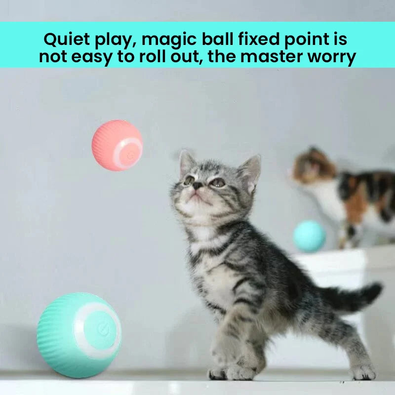 Interactive Hunting Cat Toy - 2 in 1 Simulated Prey Toy