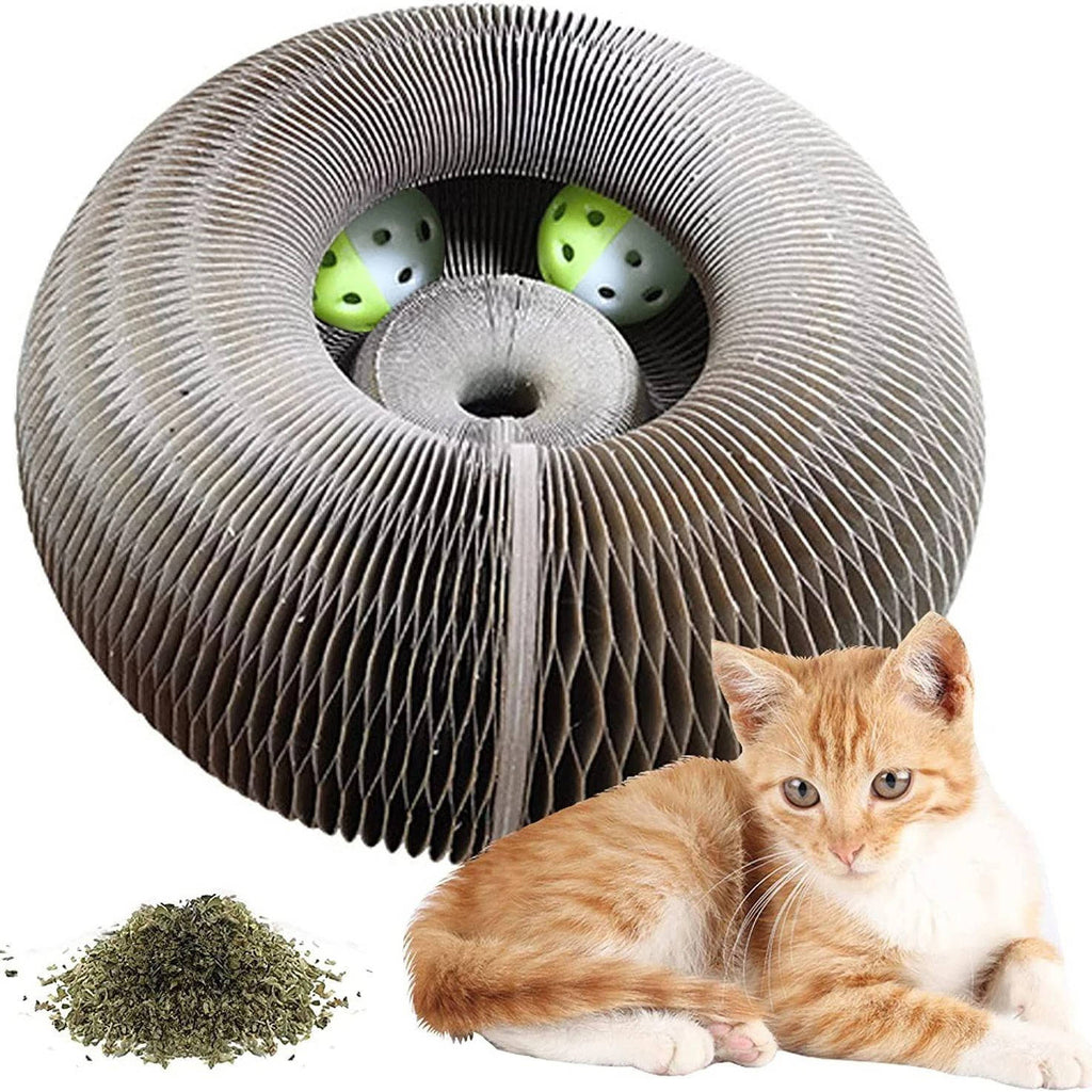Cat Scratcher with Ball Track - Interactive Scratch Pad Toy