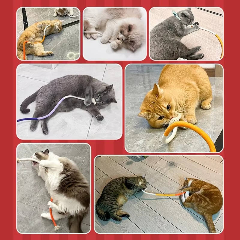 Cat Chew Toys - Teething Toys for Cats and Kittens