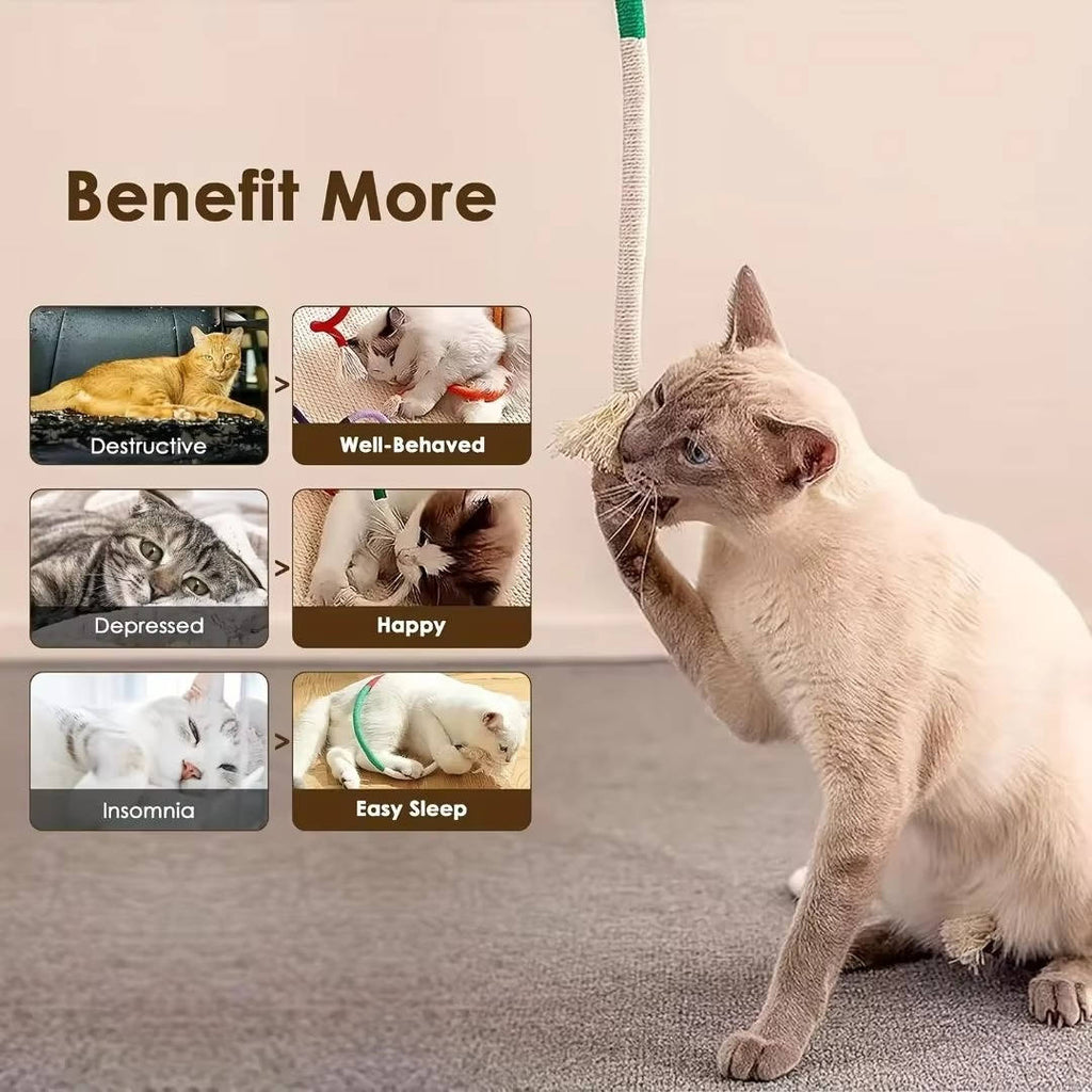 Cat Chew Toys - Teething Toys for Cats and Kittens
