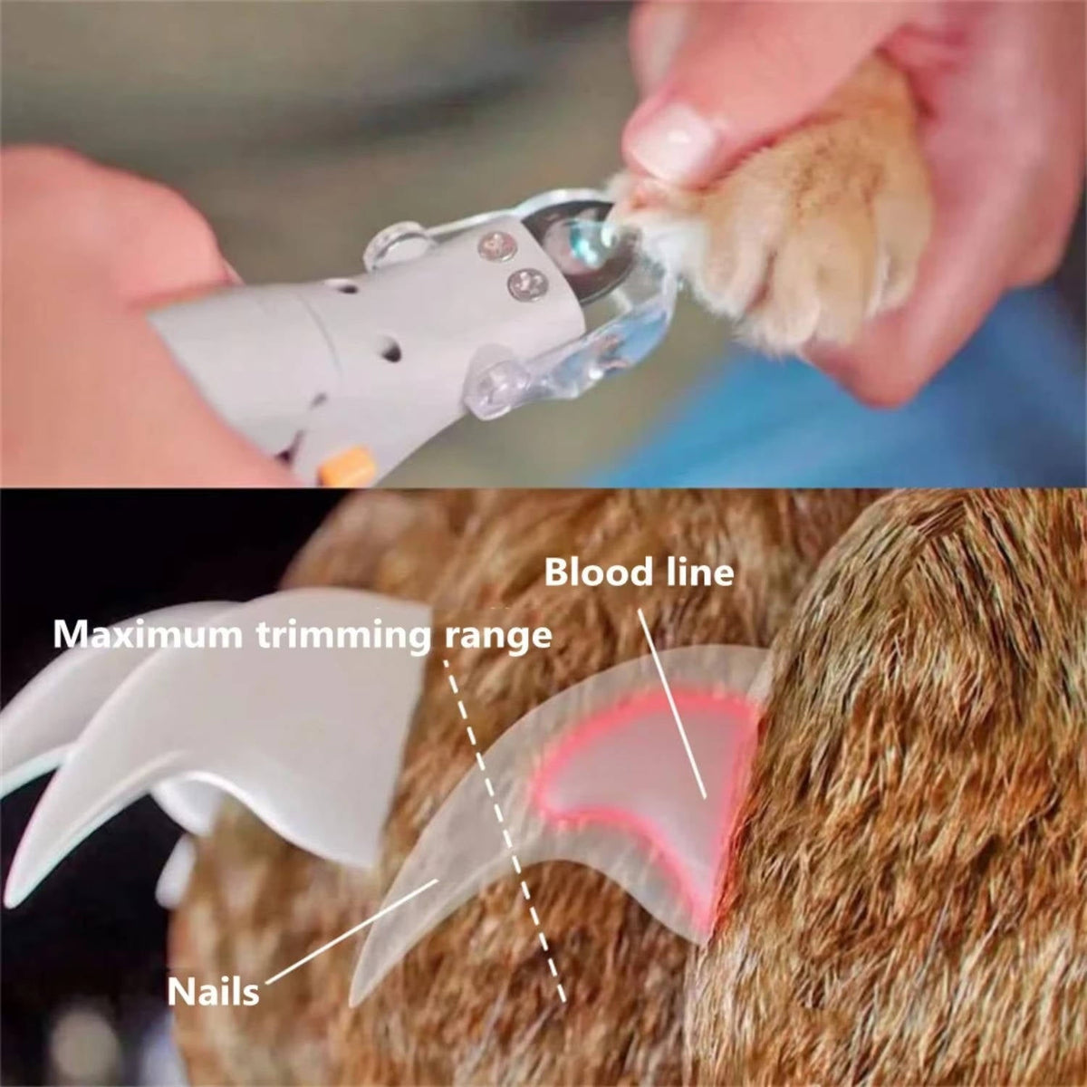 Pet Nail Clipper with LED Light - Dog & Cat Nail Trimmer