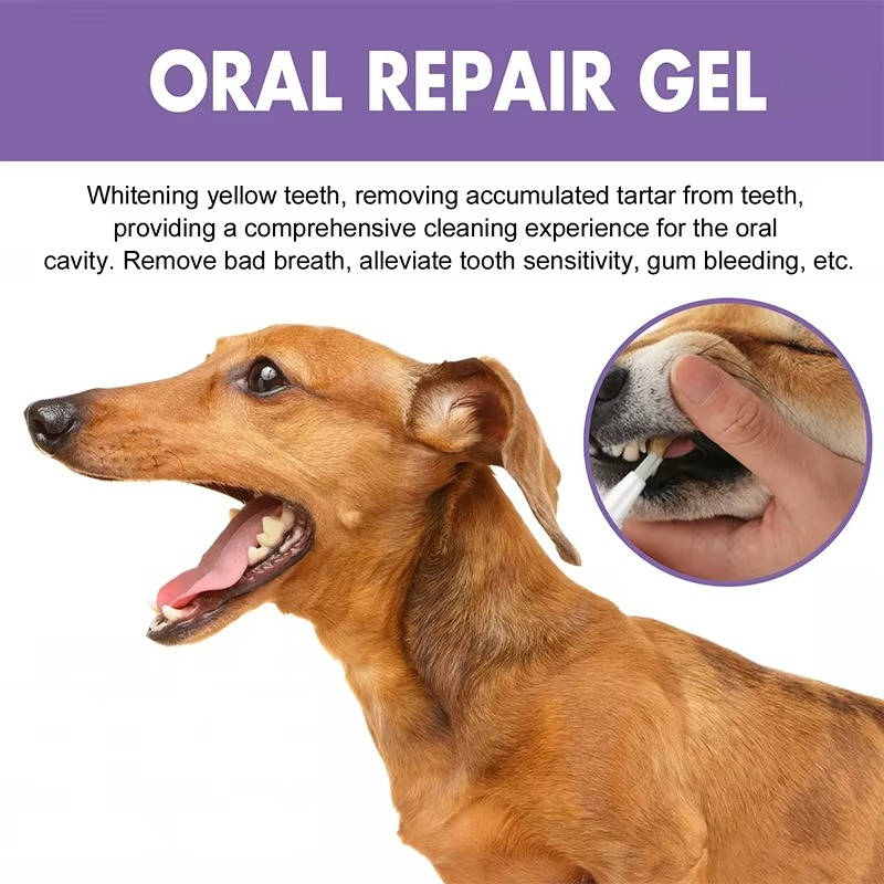 Dog Oral Gel 3 Pack - Dog Teeth and Gum Care Dental Gel