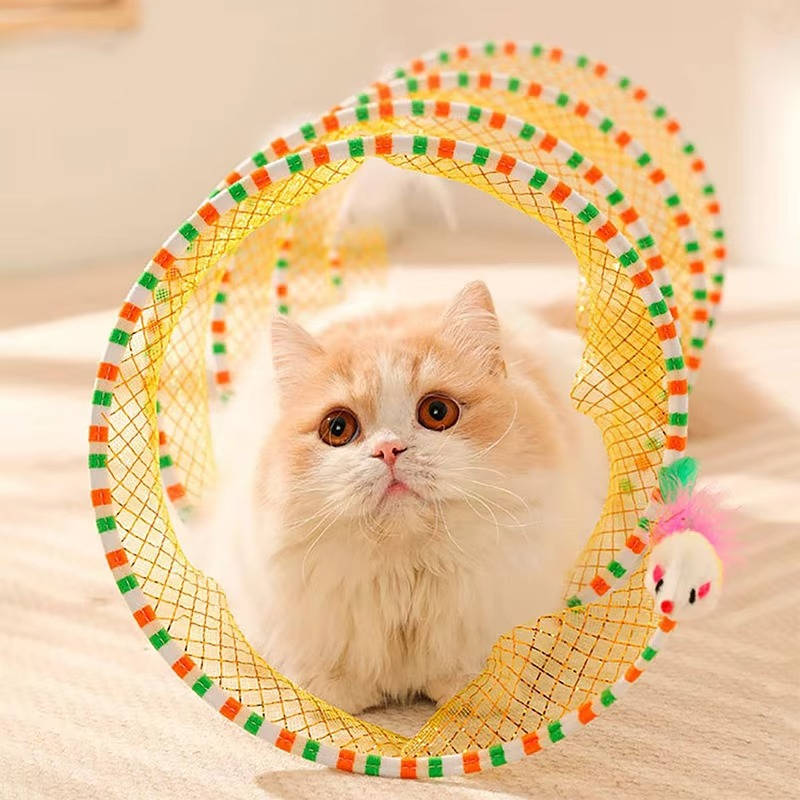 Interactive Cat Hunting Toys - Indoor Cat Teaser Play Set