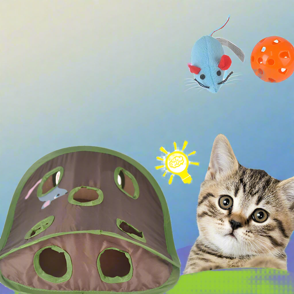 Cat Mouse Hunt Toy - 9 Hole Interactive Tunnel Game