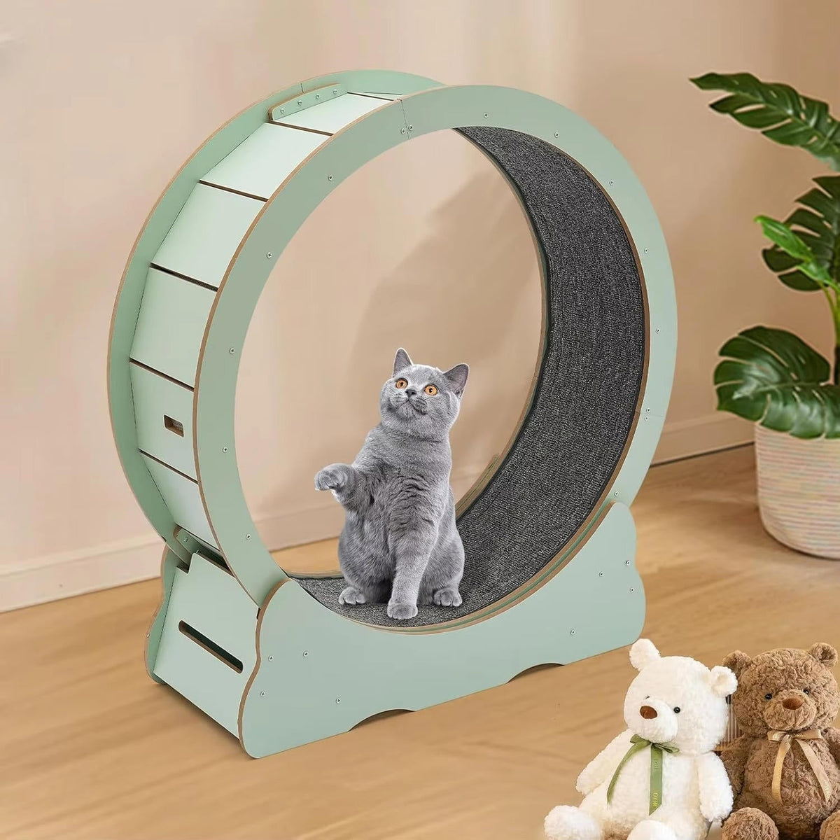 Cat Exercise Wheel - Indoor Cat Treadmill Running Wheel