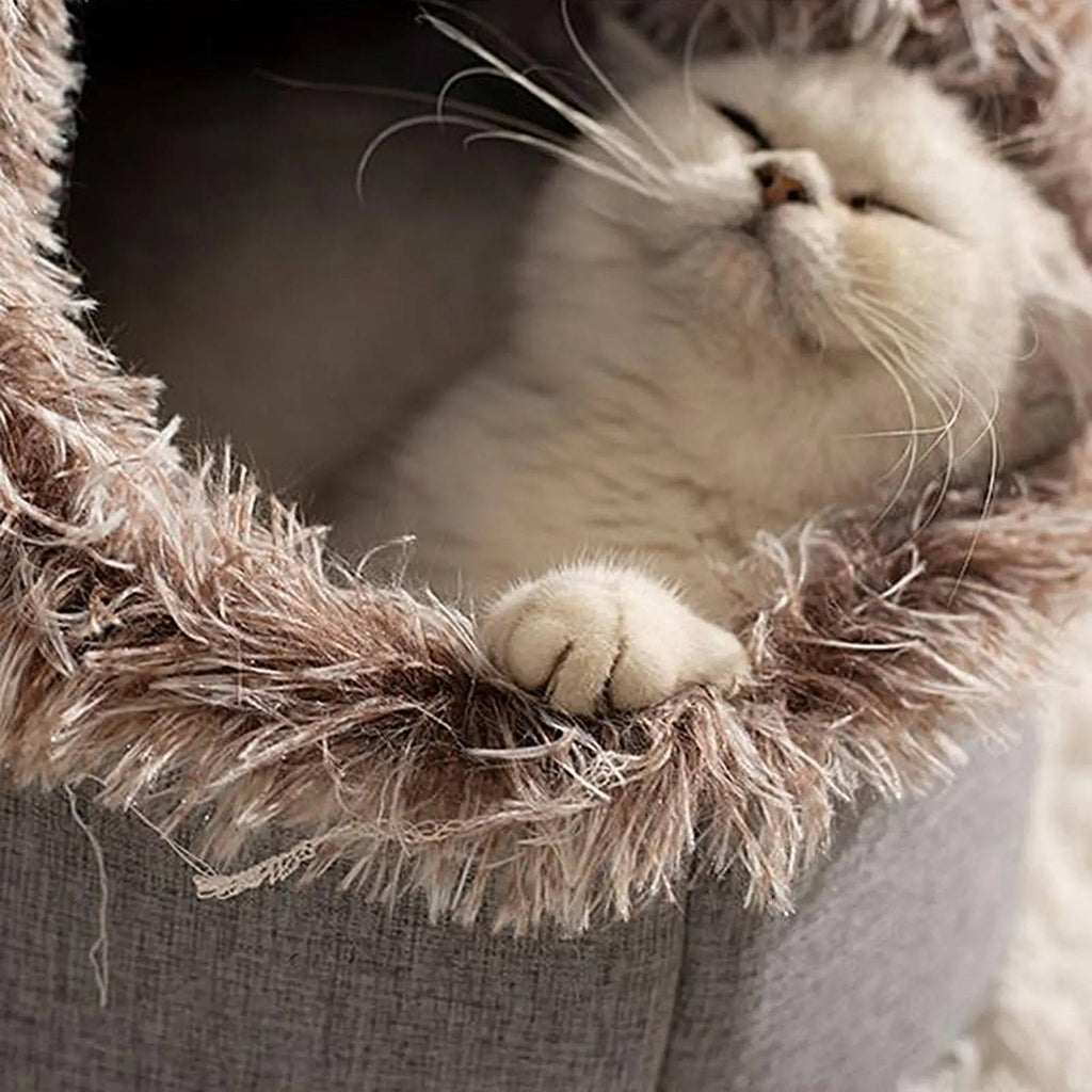 Winter Cat Bed - Warm Cozy Bed for Indoor Cats & Kittens