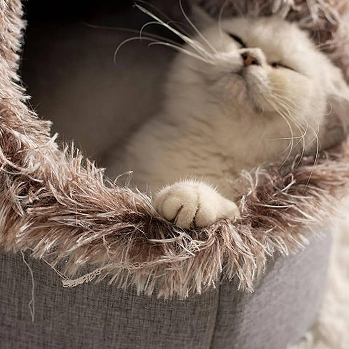Winter Cat Bed - Warm Cozy Bed for Indoor Cats & Kittens