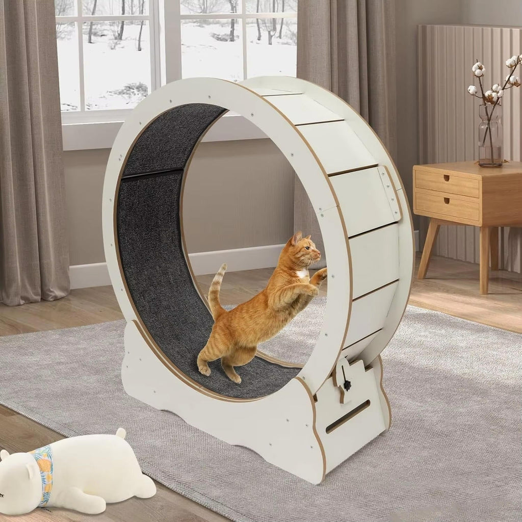 Cat Exercise Wheel - Indoor Cat Treadmill Running Wheel