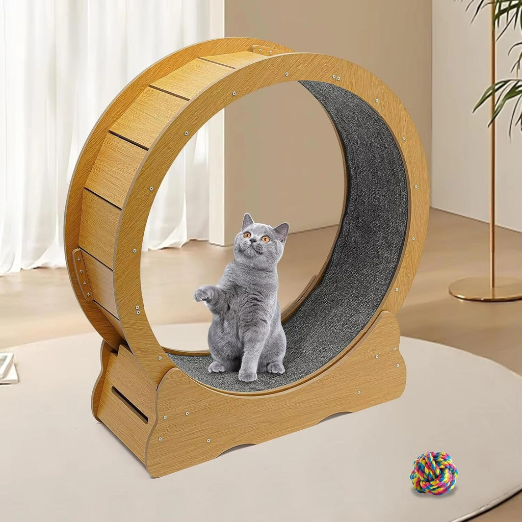 Cat Exercise Wheel - Indoor Cat Treadmill Running Wheel