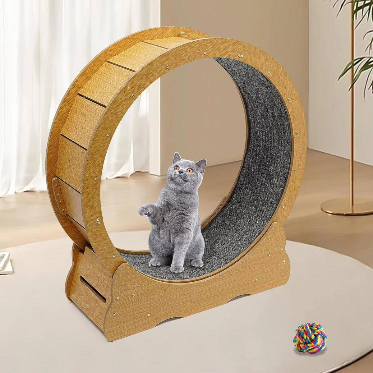 Cat Exercise Wheel - Indoor Cat Treadmill Running Wheel