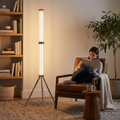 Cavelle Floor Lamp
