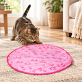 Simulated Interactive Hunting Cat Toy with a cat