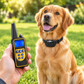 Electronic Dog Training Collar worn by a dog