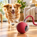 Active Rolling Ball with Tail with a dog chasing it
