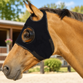 Blinders For Horse worn by a horse