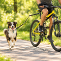 Bike Dog Tow Leash in use