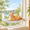 Cat Hammock Window with a cat lounging