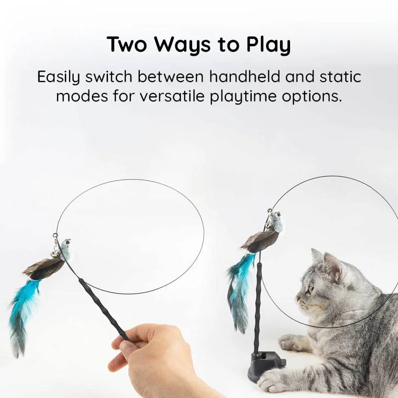 Simulated Bird Cat Toy Set - Interactive Cat Teaser Toy