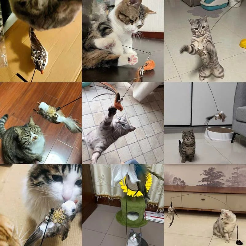 Simulated Bird Cat Toy Set - Interactive Cat Teaser Toy