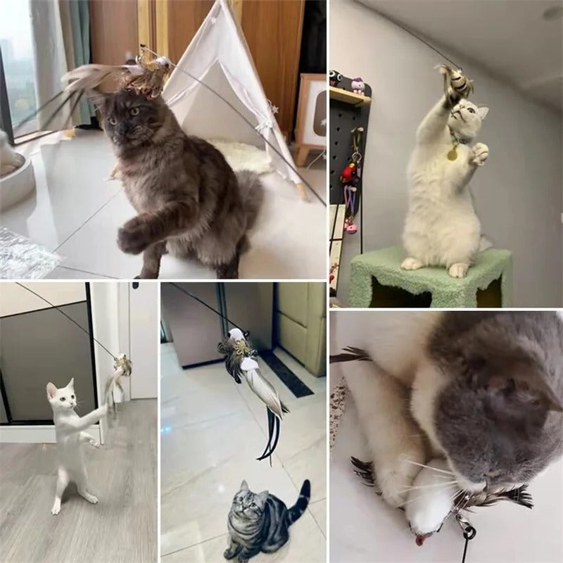 Simulated Bird Cat Toy Set - Interactive Cat Teaser Toy