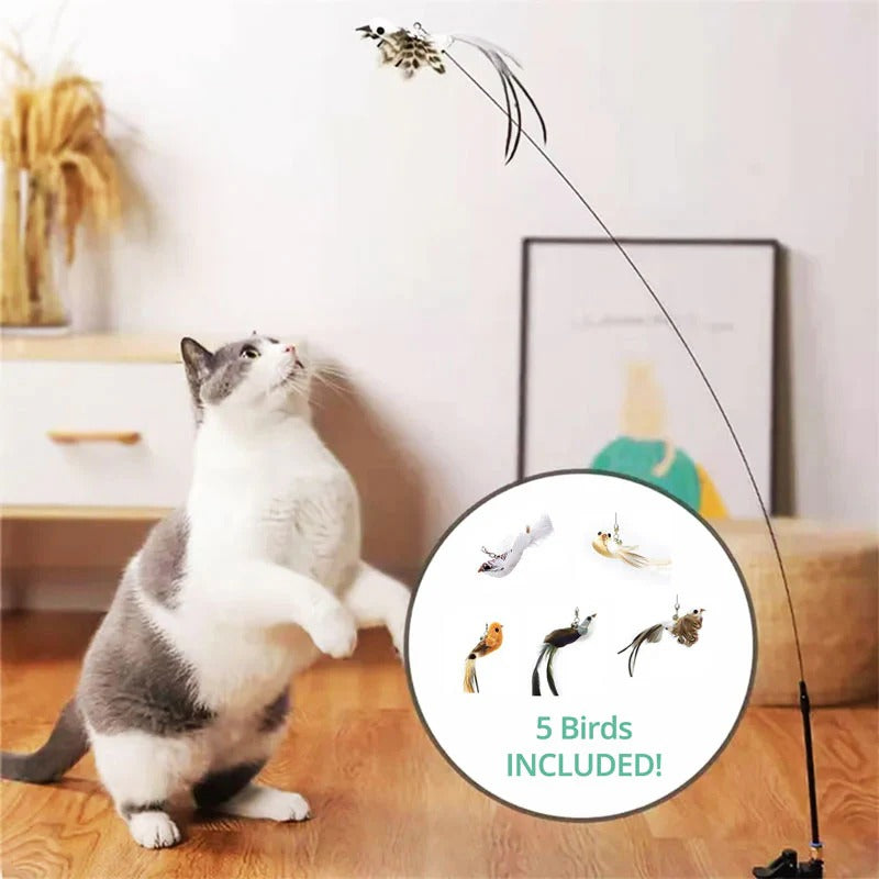 Simulated Bird Cat Toy Set - Interactive Cat Teaser Toy