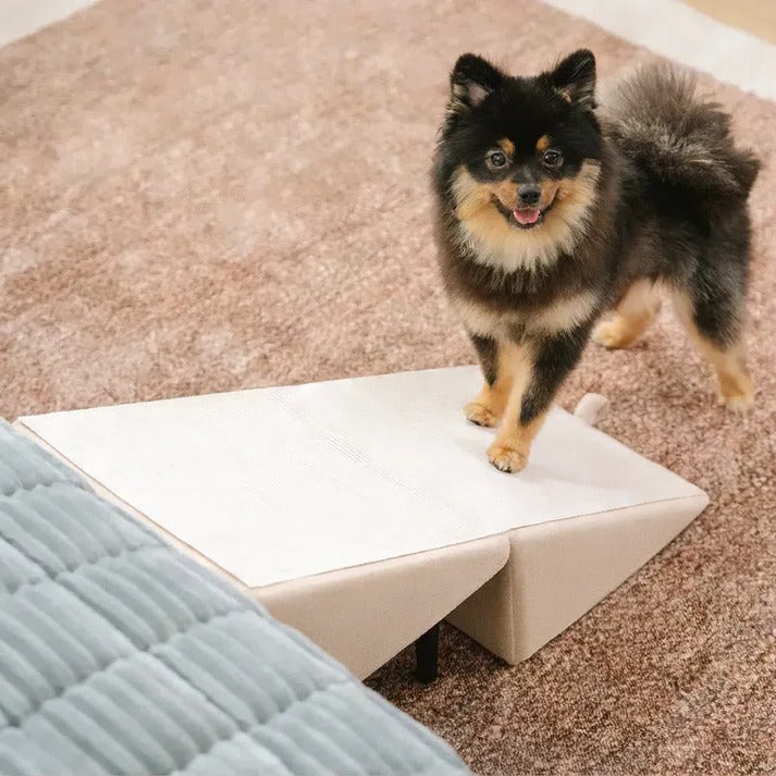 Dog Ramp for Bed - 2 in 1 Convertible Pet Stairs Step Stool