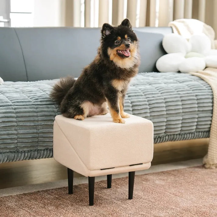 Dog Ramp for Bed - 2 in 1 Convertible Pet Stairs Step Stool