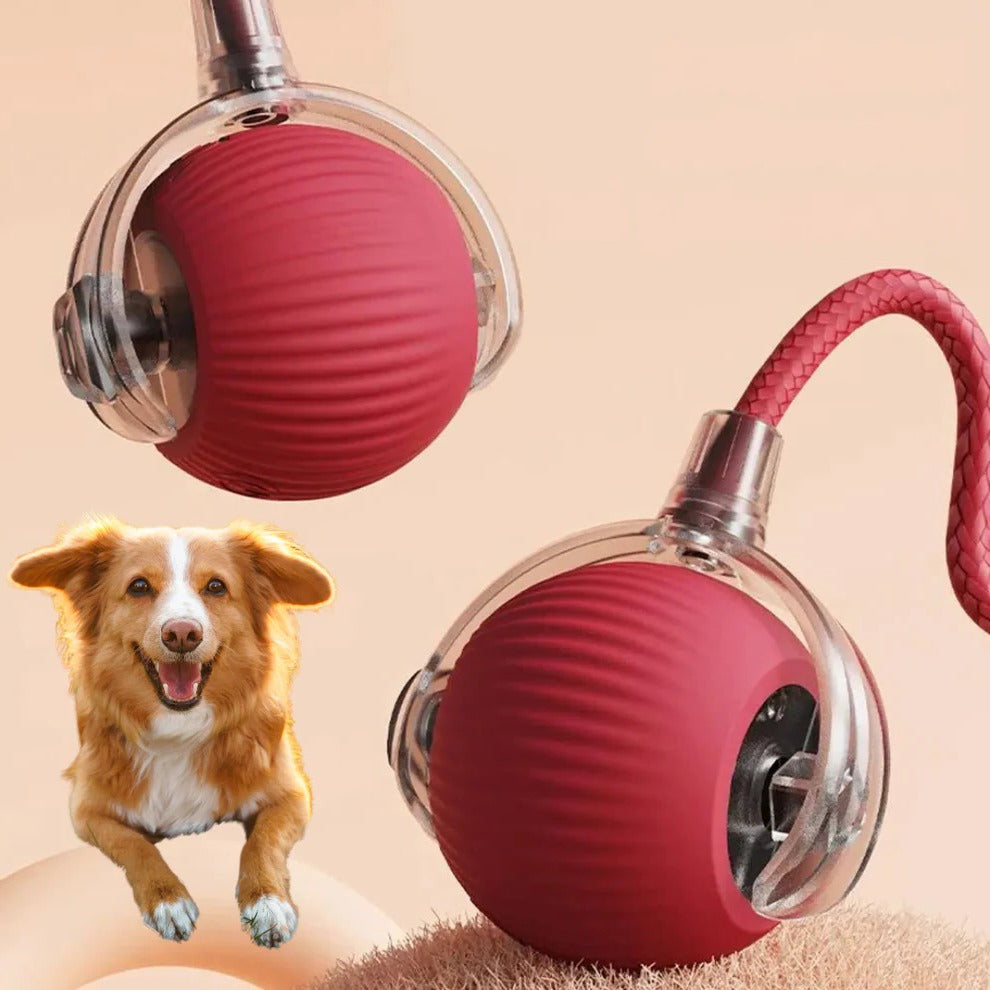 Rolling Ball Dog Toy with Tail - Active Moving Dog Ball