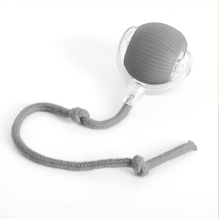 Rolling Ball Dog Toy with Tail - Active Moving Dog Ball