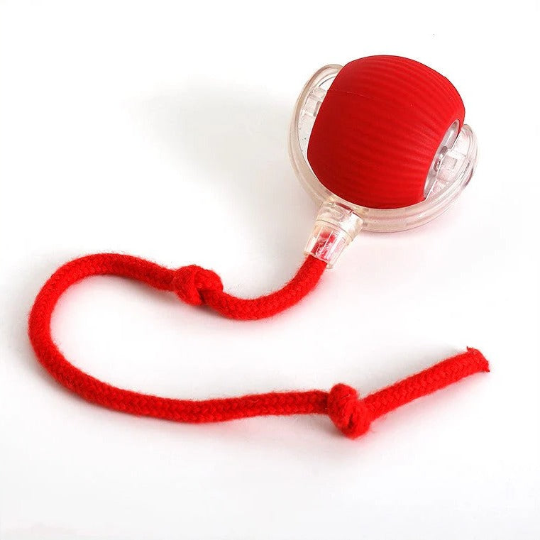 Rolling Ball Dog Toy with Tail - Active Moving Dog Ball