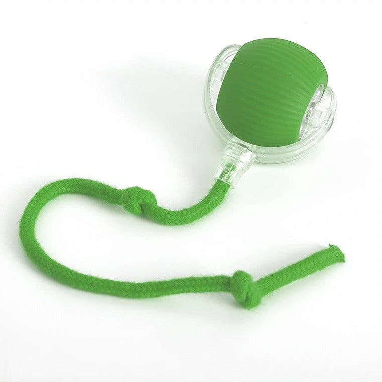 Rolling Ball Dog Toy with Tail - Active Moving Dog Ball