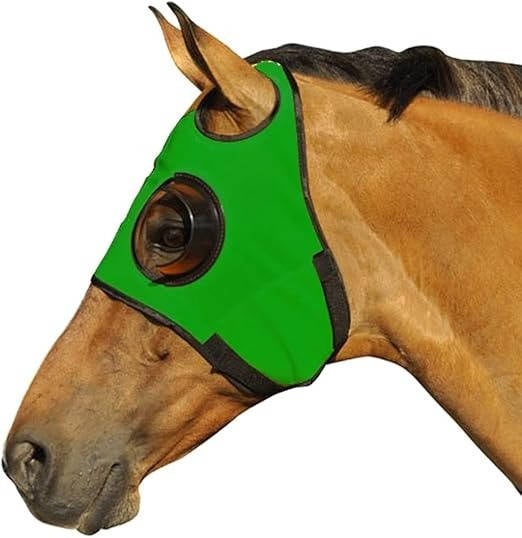 Horse Blinders - Equine Blinker Hood for Horses
