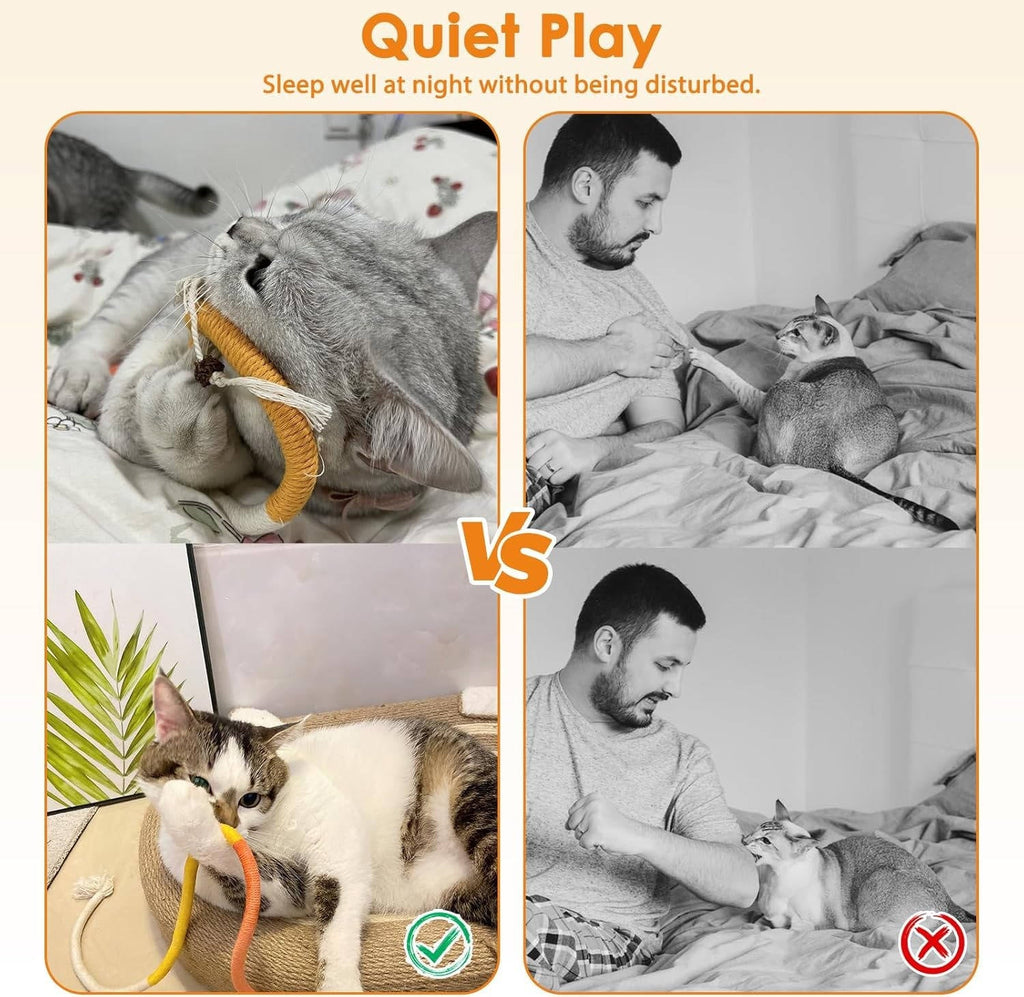 Cat Chew Toys - Teething Toys for Cats and Kittens