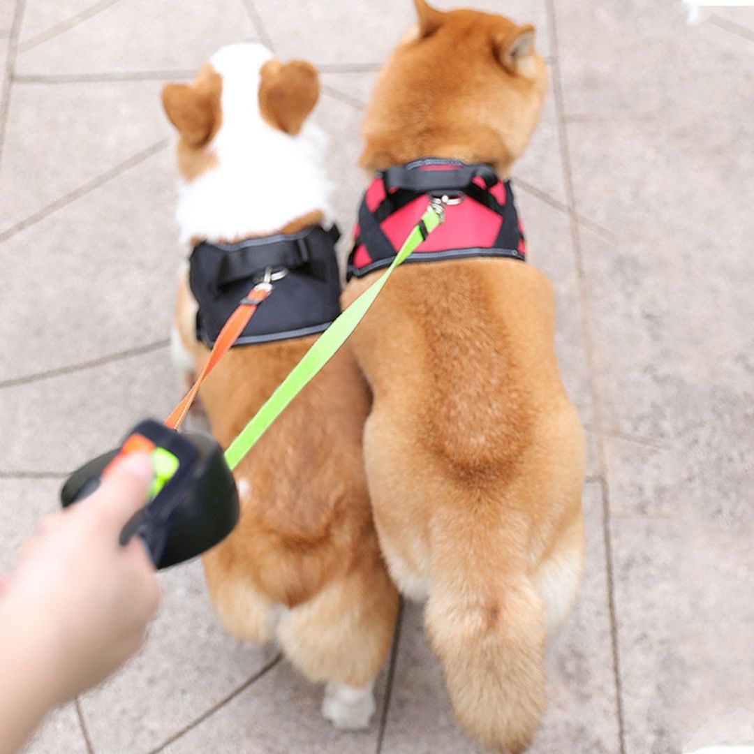 Double Dog Leash - Anti Tangle Leash for Two Dogs