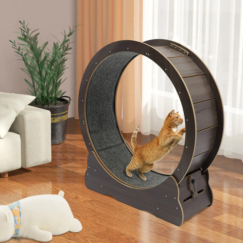 Cat Exercise Wheel - Indoor Cat Treadmill Running Wheel